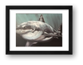 Battle Scars — framed