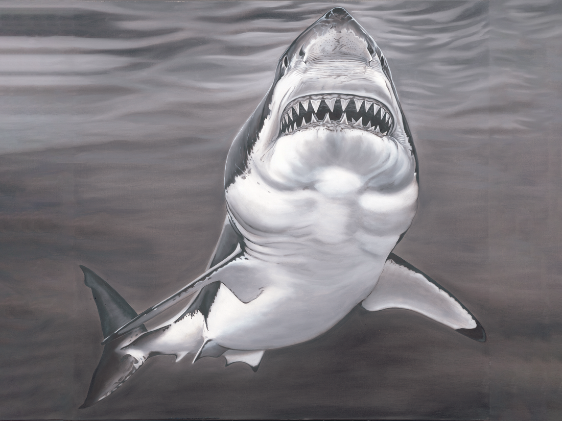 Doug Chandler Shark 3 - 11x14 unframed canvas print of an original Douglas Chandler painting featuring a shark.