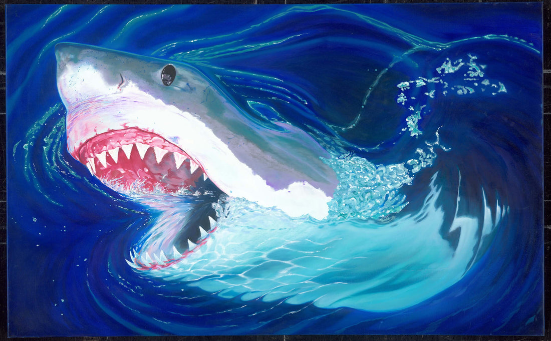 Doug Chandler Shark 4, an unframed 11x14 canvas print of a vibrant shark painting by Douglas Chandler.