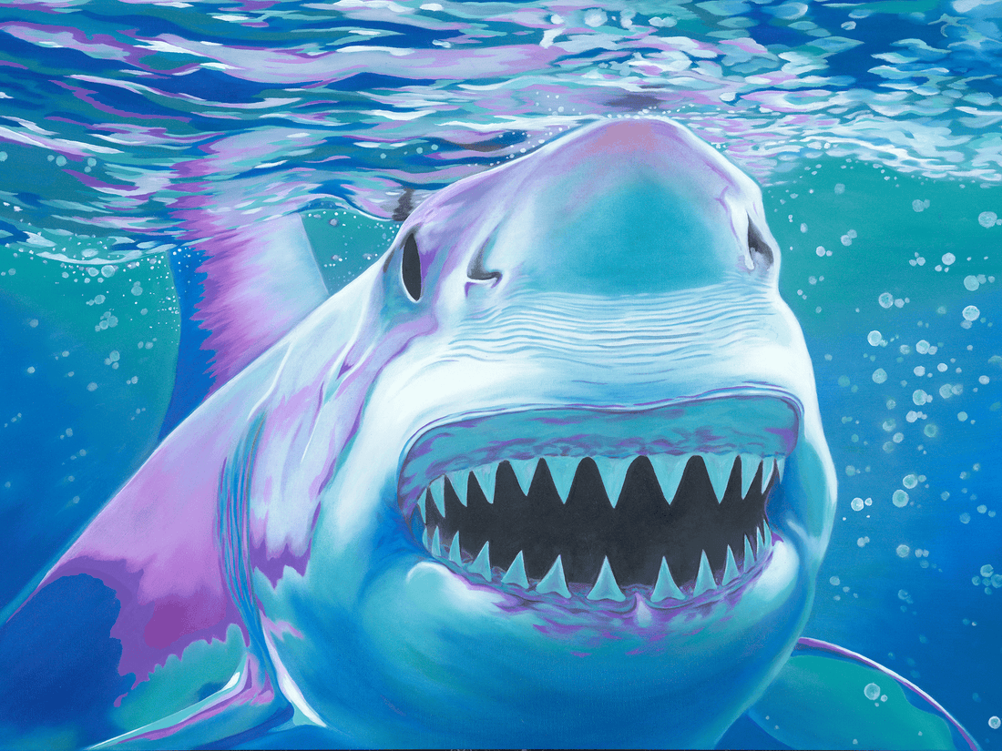 Doug Chandler Shark 5 - 11x14 unframed canvas print featuring vibrant shark artwork by Douglas Chandler.