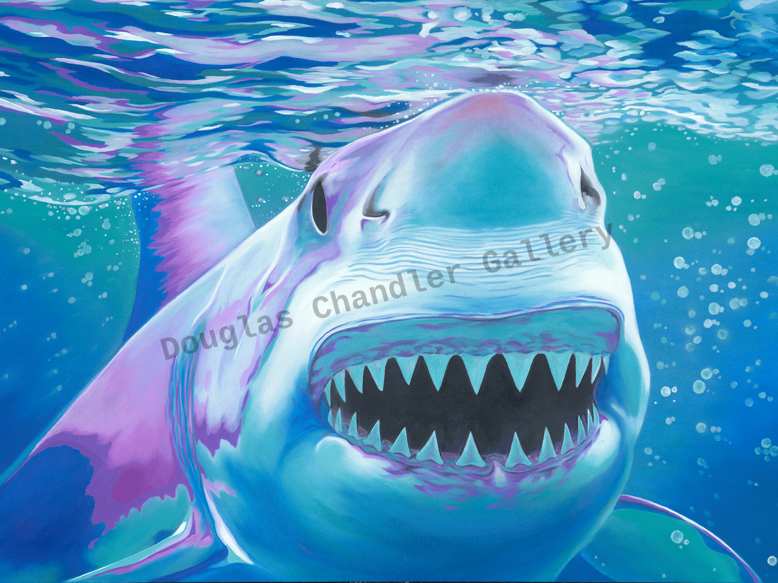 Doug Chandler Shark 5 - 11x14 unframed canvas print featuring vibrant shark artwork by Douglas Chandler.