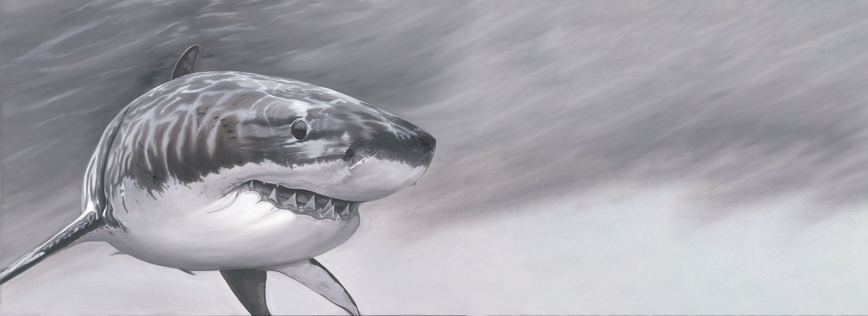 slider image slider_item_UrwJGy